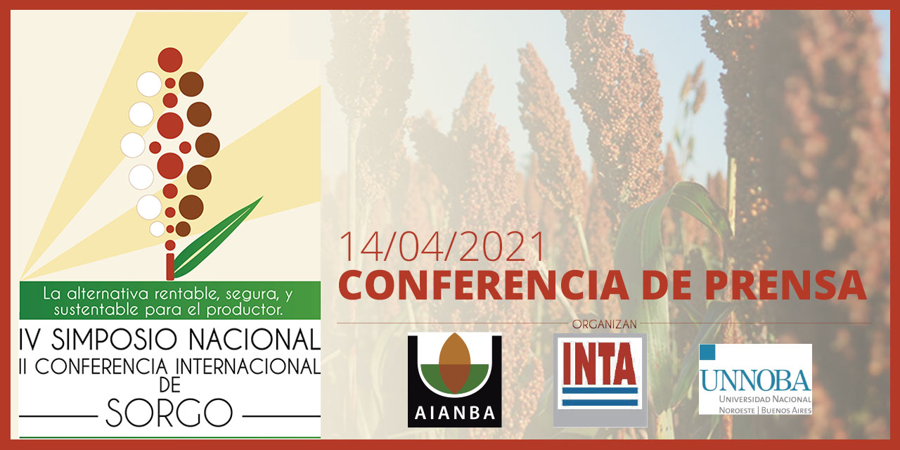 CONFERENCIA DE PRENSA