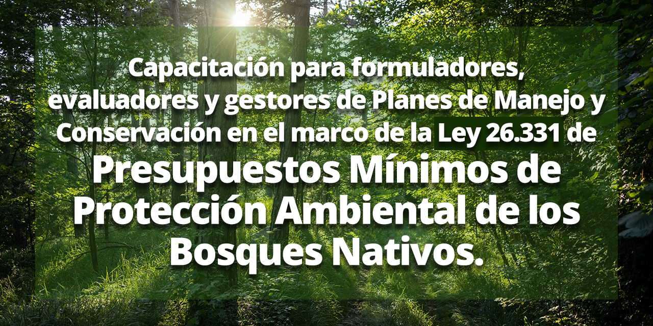 Ley 26.331 de Presupuestos Mínimos de Protección Ambiental de los Bosques Nativos.