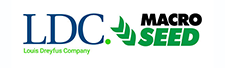 LDC